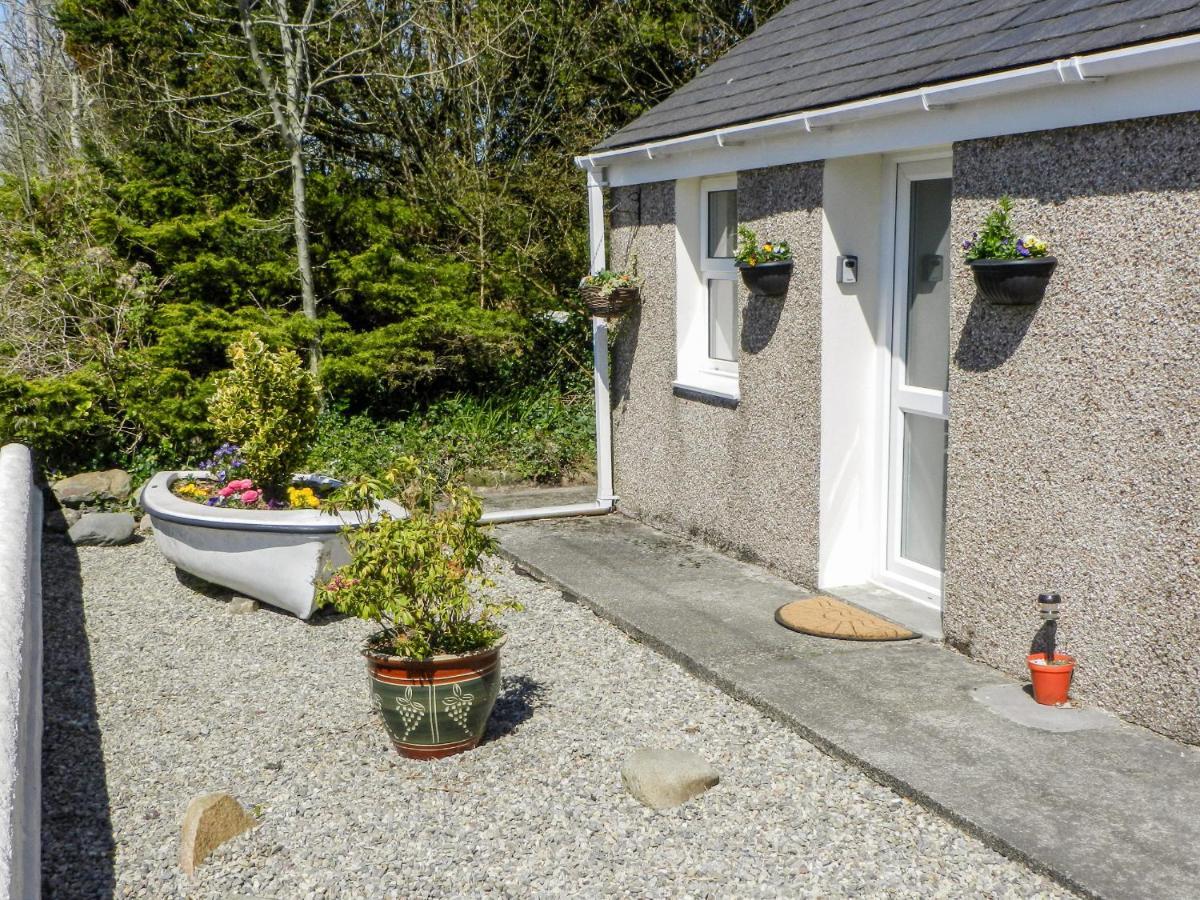 Bwlch Yr Awel Cottage Brynkir エクステリア 写真